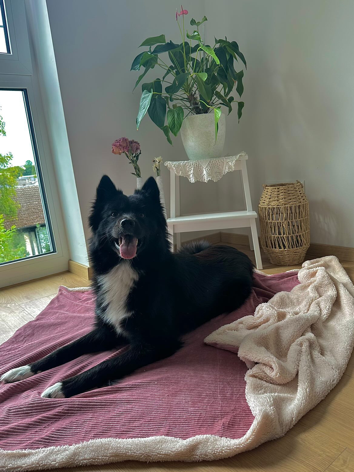 Kuschelwendedecke >> Amber <<