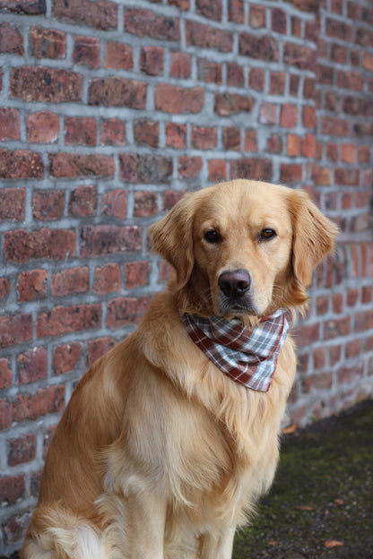 Hundehalstuch ; Halstuch für Hunde; Halstücher ; kariert ; Autumn ; herbstlich ; Herbst ; braun ; rot ; grau ; weiß 