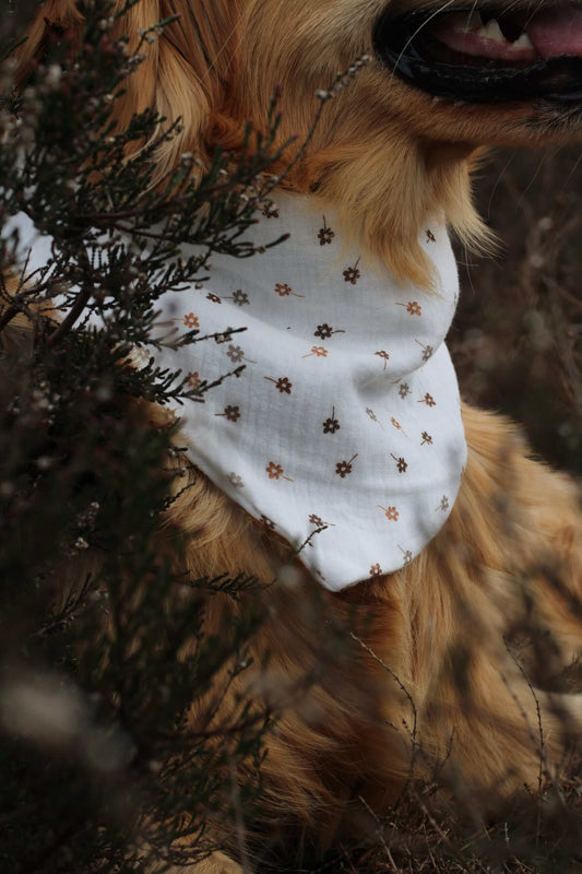 Musselin Hundehalstuch Blümchen